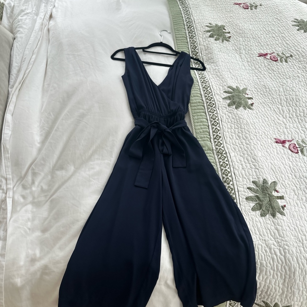 Aritzia Deep Blue Jumpsuit